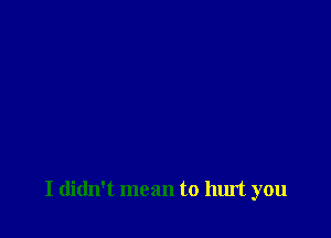 I didn't mean to hurt you