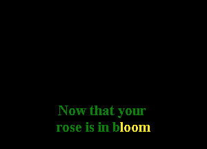 N ow that your
rose is in bloom