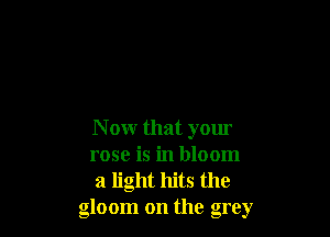 N ow that yom
rose is in bloom

a light hits the
gloom on the grey
