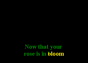 N ow that your
rose is in bloom