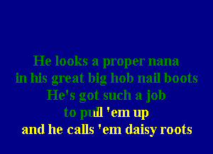 He looks a proper nana
in his great big hob nail boots
He's got such a job
to pull 'em up
and he calls 'em daisy roots