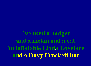I've used a badger
and a melon and a cat
An inilatable Lindgi Lovelace

and a Davy Crockett hat