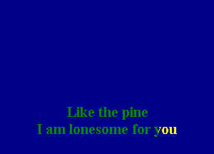 Like the pine
I am lonesome for you