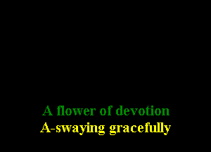 A flower of devotion
A-swaying gracefully