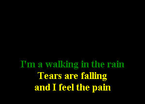 I'm a walking in the rain
Tears are falling
and I feel the pain