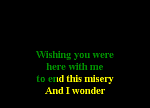 Wishing you were
here with me

to end this misery
And I wonder