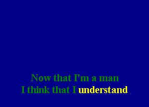 N ow that I'm a man
I think that I lmderstand