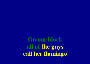 On our block
all of the guys
call her flamingo