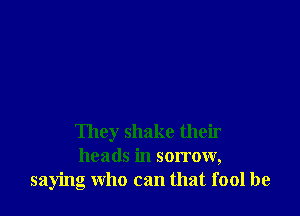 They shake their
heads in sorrow,
saying who can that fool be