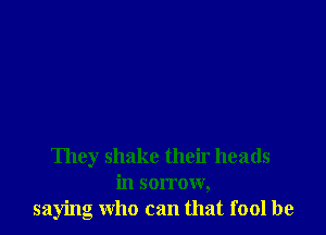 They shake their heads
in sorrow,
saying who can that fool be