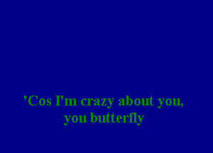 'Cos I'm crazy about you,
you butterfly