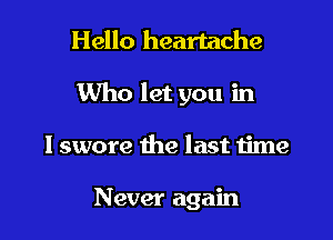 Hello heartache

Who let you in

I swore the last time

Never again