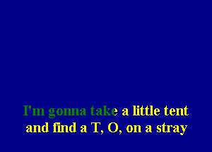 I'm gonna take a little tent
and find a T, O, on a stray