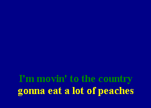 I'm movin' to the country
gonna eat a lot of peaches