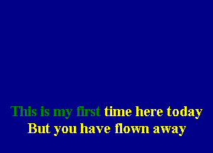 This is my l'lrst time here today
But you have flown away