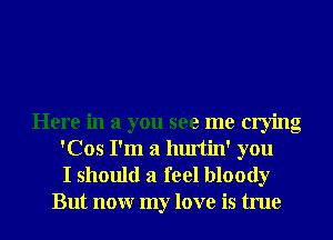 Here in a you see me crying
'Cos I'm a hurtin' you

I should a feel bloody
But nonr my love is true