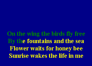 On the Wing the birds 11y free
By the fountains and the sea
Flower waits for honey bee
Sunrise wakes the life in me