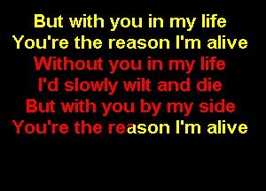 But with you in my life
You're the reason I'm alive
Without you in my life
I'd slowly wilt and die
But with you by my side
You're the reason I'm alive