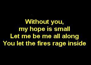 Without you,
my hope is small

Let me be me all along
You let the fires rage inside