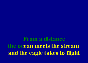 From a distance
the ocean meets the stream
and the eagle takes to night