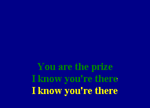 You are the prize
I know you're there
I know you're there