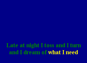 Late at night I toss and I turn
and I dream of What I need