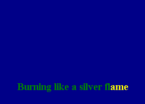 Burning like a silver name