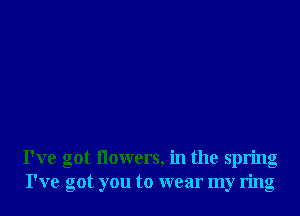 I've got flowers, in the spring
I've got you to wear my ring