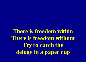 There is freedom Within
There is freedom Without
Try to catch the
deluge in a paper cup