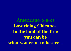 Americano-o-o-os
Low titling Chicanos.
In the land of the free

you can be
what you want to be-eee...