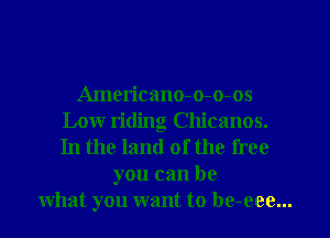 Americano-o-o-os
Low titling Chicanos.
In the land of the free

you can be
what you want to be-eee...