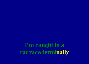 I'm caught in a
rat race terminally