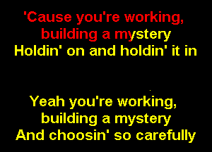 'Cause you're working,
building a mystery
Holdin' on and holdin' it in

Yeah you're working,
building a mystery
And choosin' so carefully