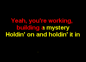 Yeah, you're working,
building a mystery

Holdin' on and holdin' it in