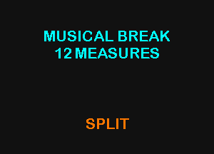 MUSICAL BREAK
12 MEASURES