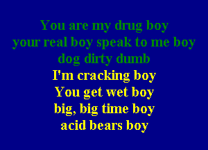 You are my drug boy
your real boy speak to me boy
dog dirty dumb
I'm cracking boy
You get wet boy
big, big time boy
acid bears boy