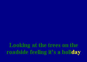 Looking at the trees on the
roadside feeling it's a holiday