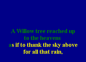 A Willow tree reached up
to the heavens
as if to thank the sky above
for all that rain,