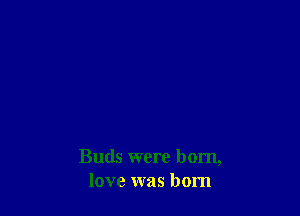 Buds were born,
love was born