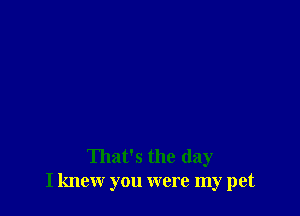 That's the day
I knew you were my pet