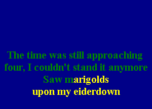 The time was still approaching
four, I couldn't stand it anymore
Saw marigolds
upon my eiderdown