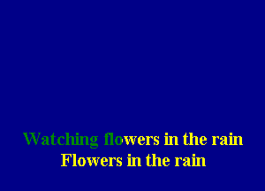 W atching flowers in the rain
Flowers in the rain