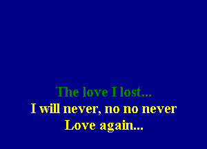 The love I lost...
I will never, no no never
Love again...