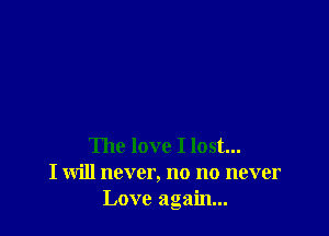 The love I lost...
I will never, no no never
Love again...