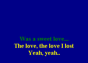 Was a sweet love...
The love, the love I lost
Yeah, yeah.