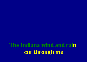 The Indiana wind and rain
cut through me