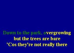 Down to the park, overgrowing
but the trees are bare
'Cos they're not really there