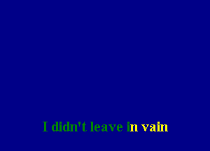 I didn't leave in vain