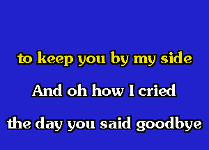 to keep you by my side
And oh how I cried

the day you said goodbye