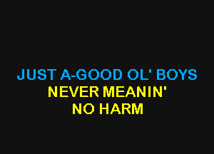 JUST A-GOOD OL' BOYS

NEVER MEANIN'
NO HARM